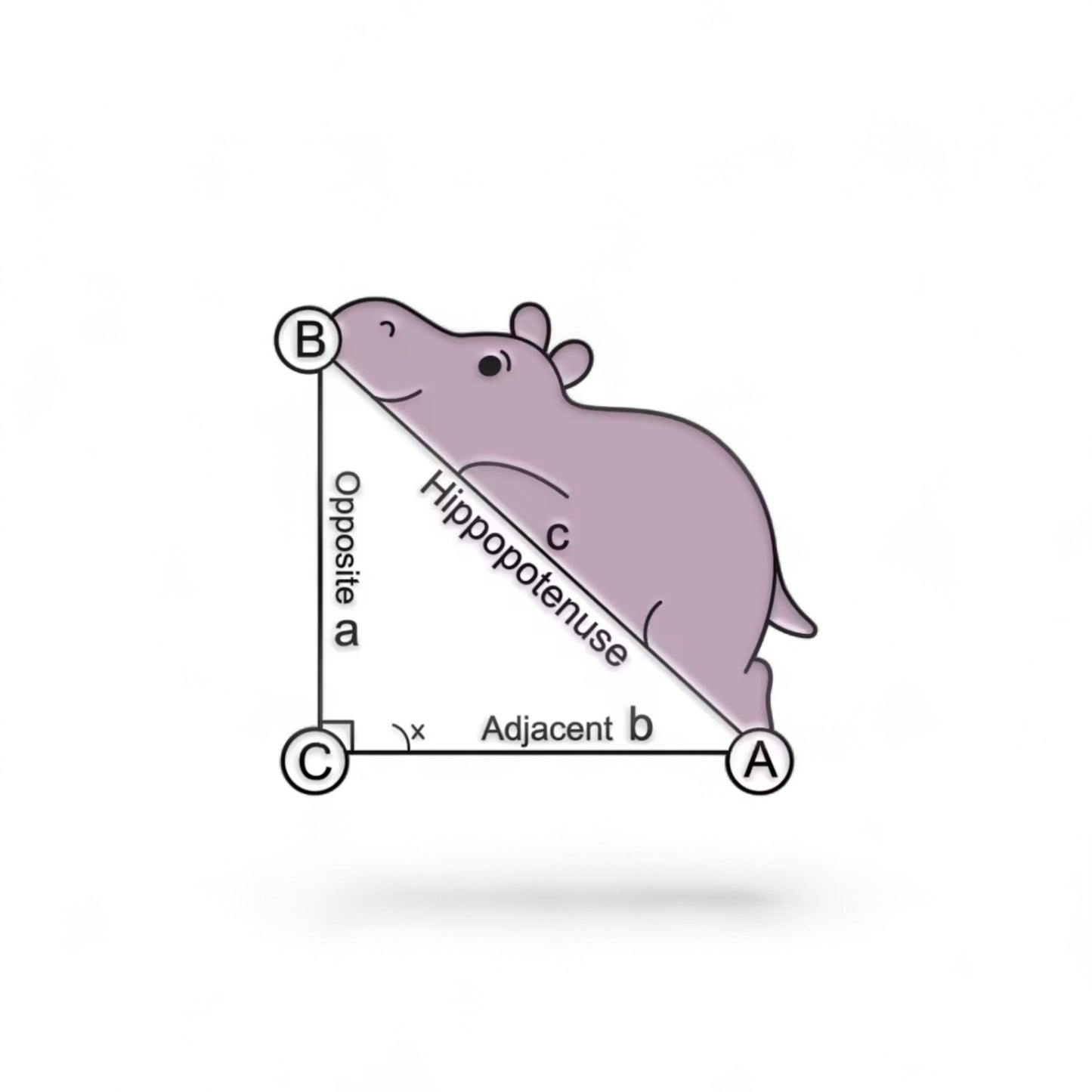 Hippo-potenuse