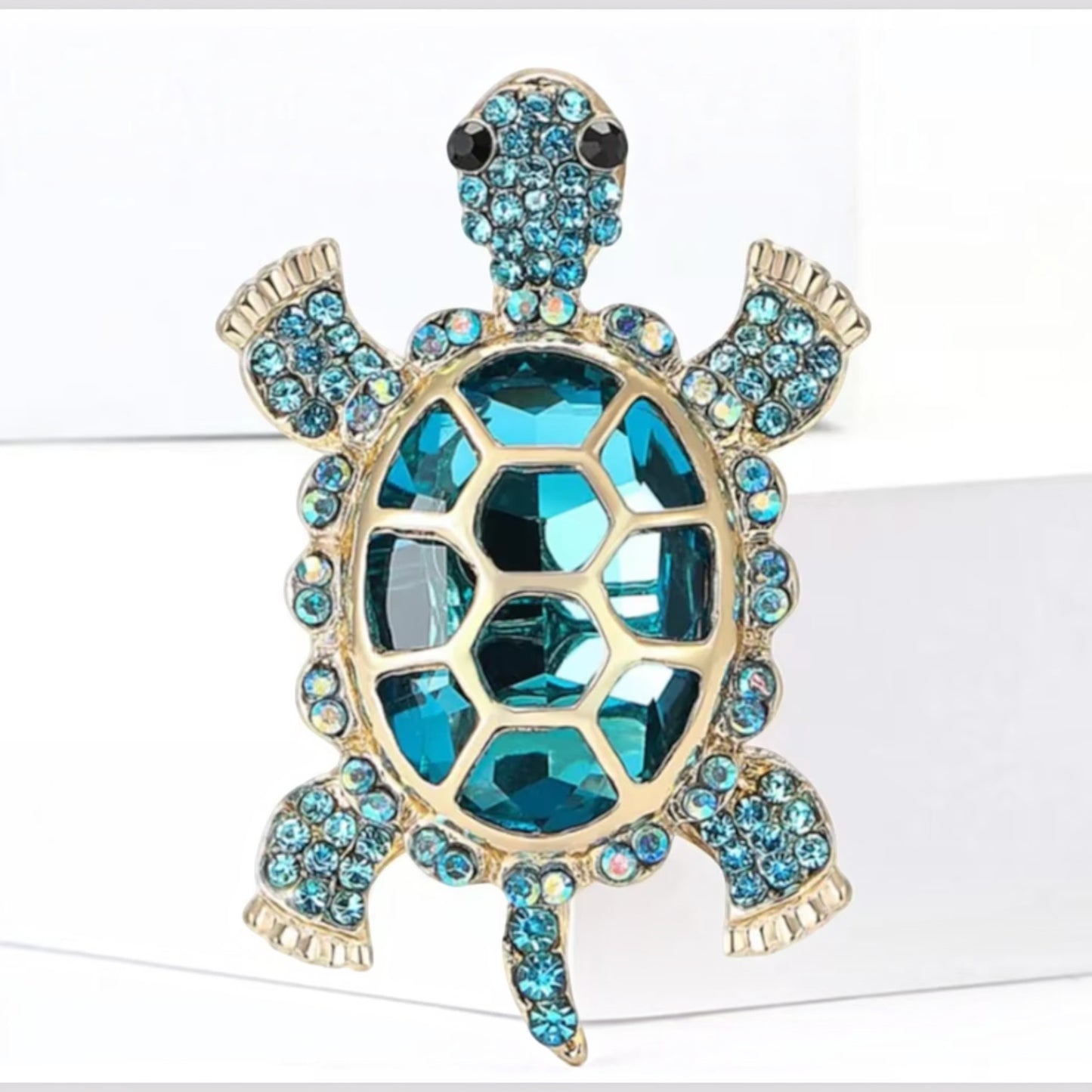Aqua Turtle