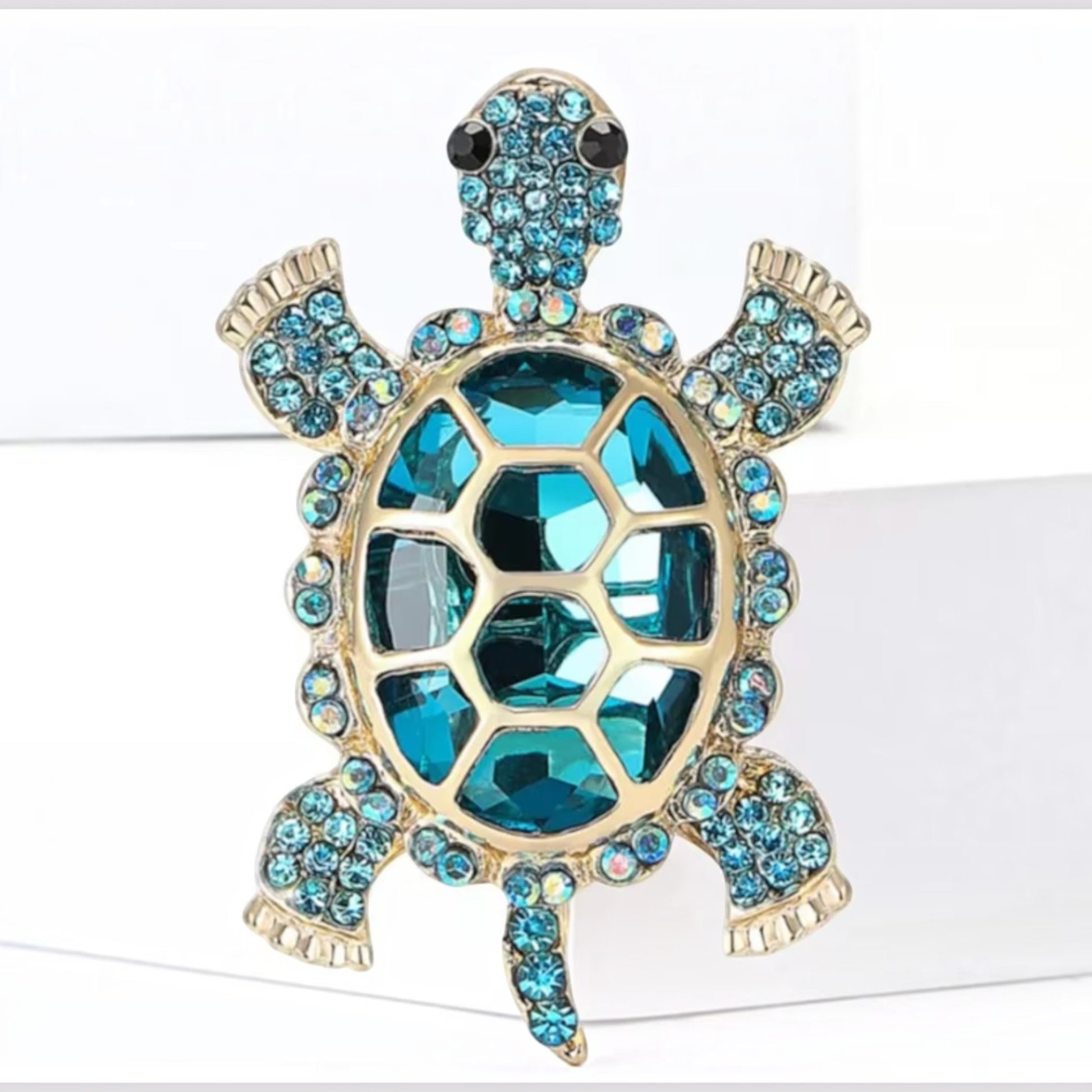 Aqua Turtle