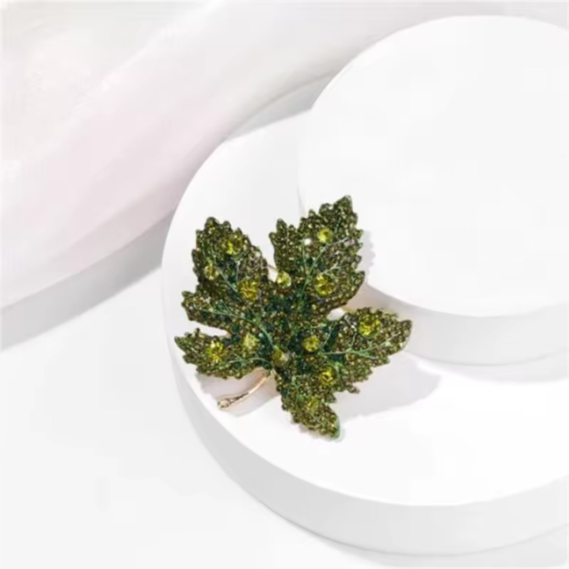 Olive Maple