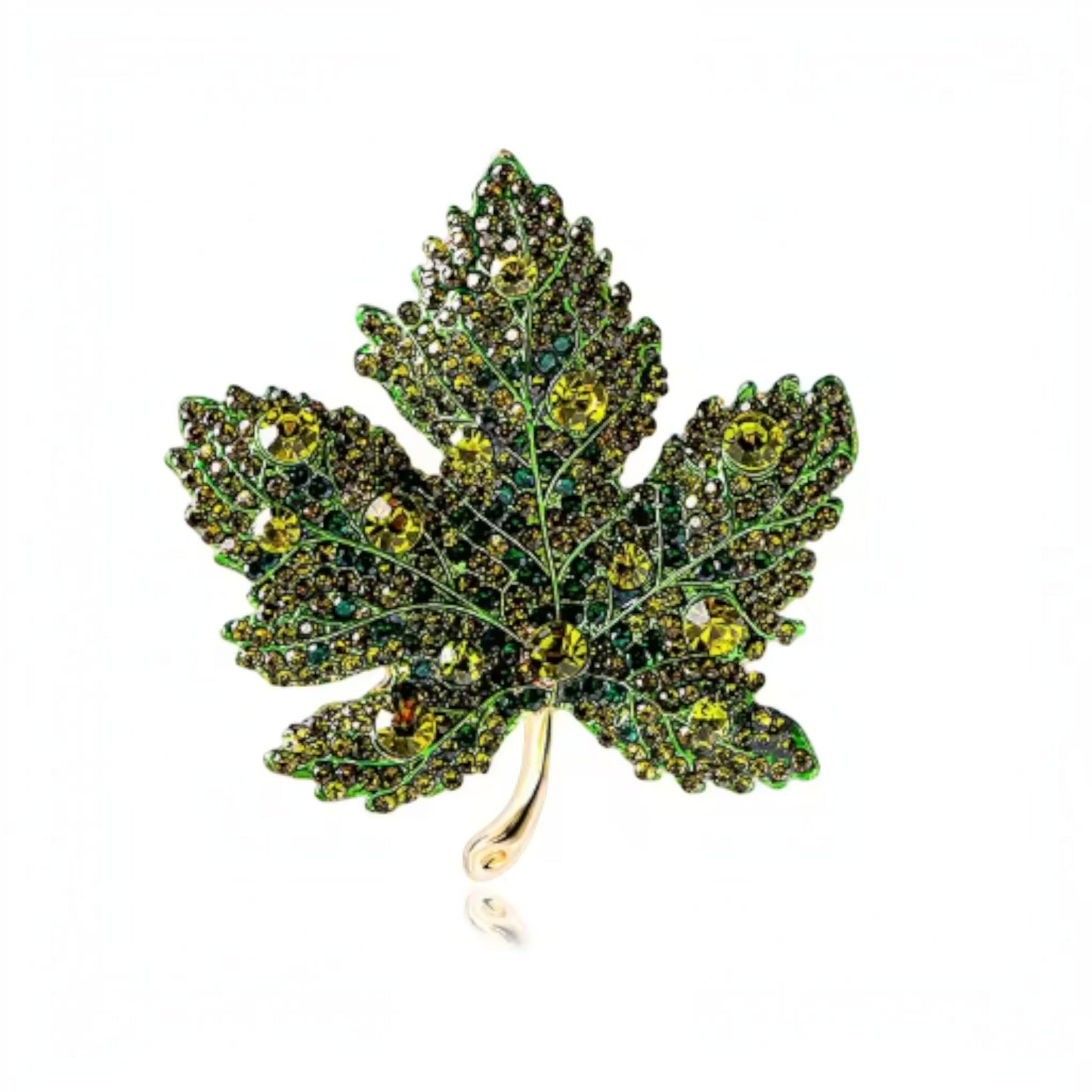 Olive Maple