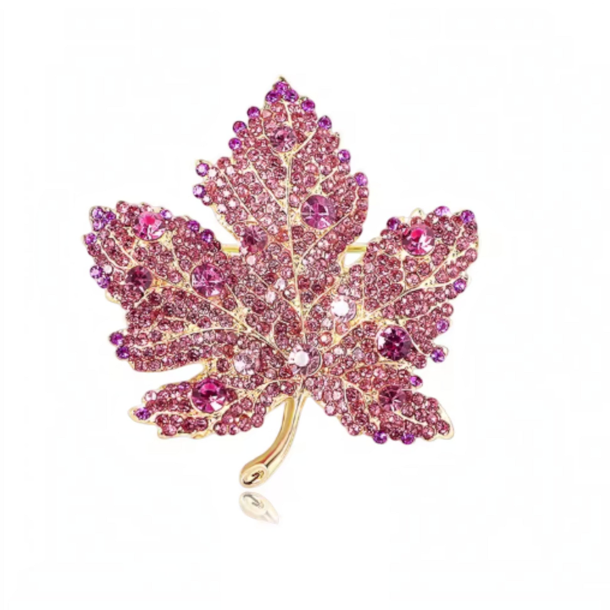 Rose Maple