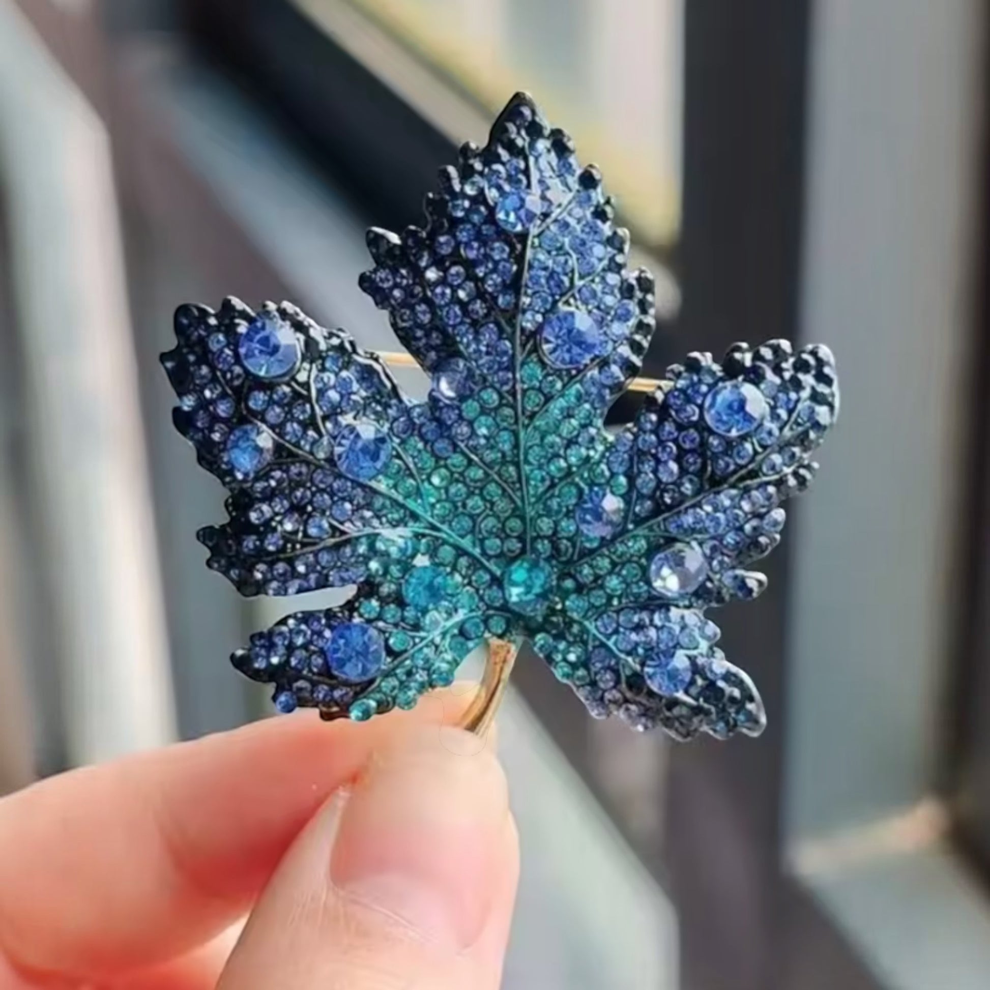 Sapphire Maple
