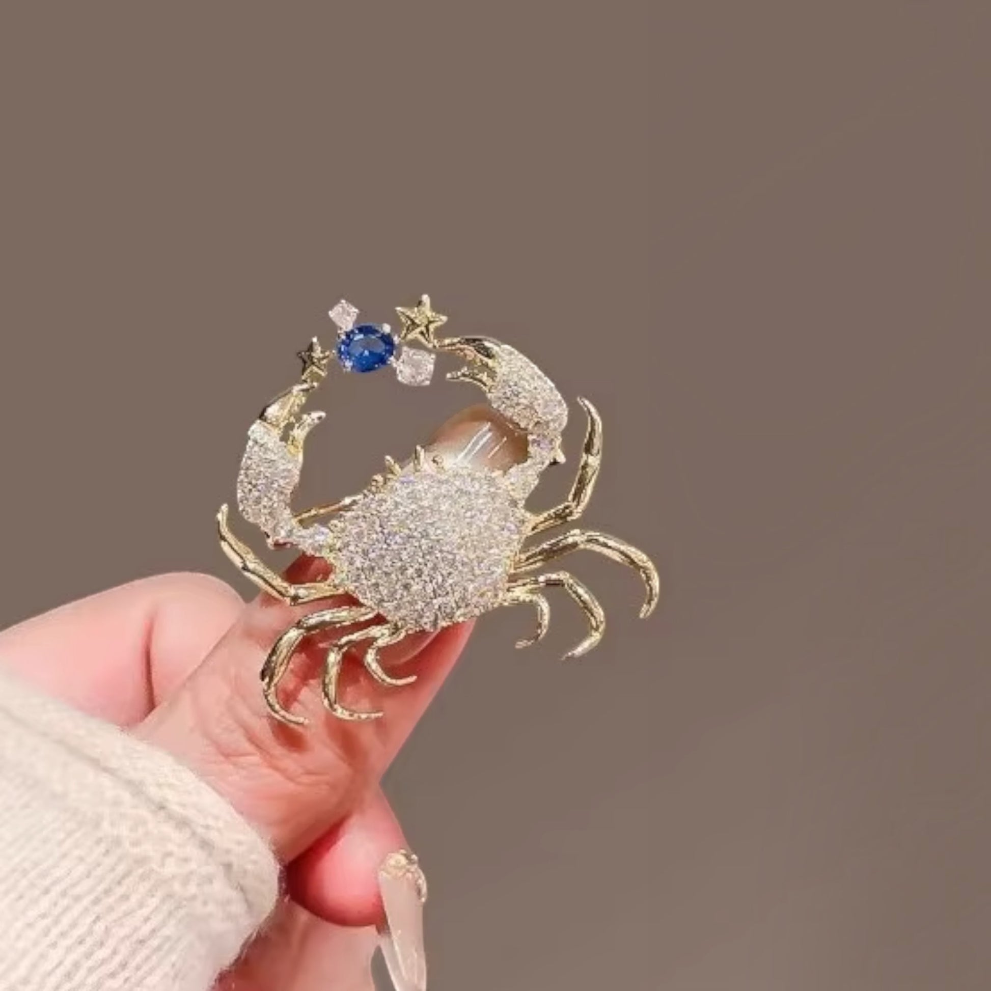Seaside Crab