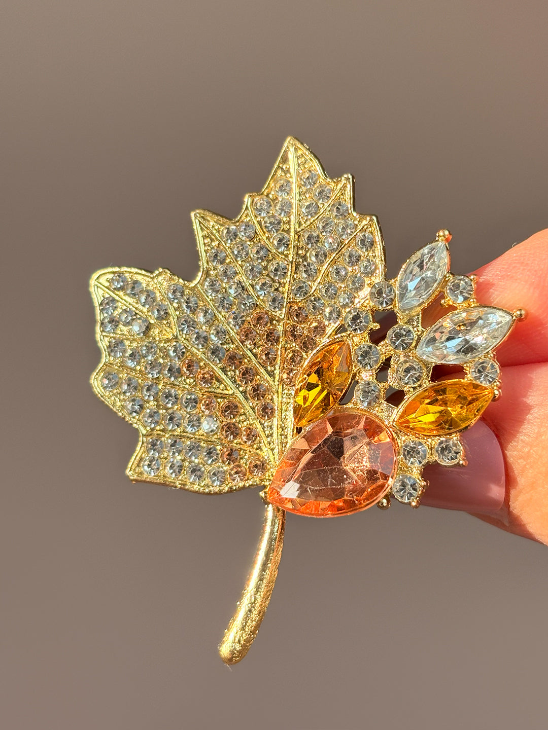 Autumn Maple