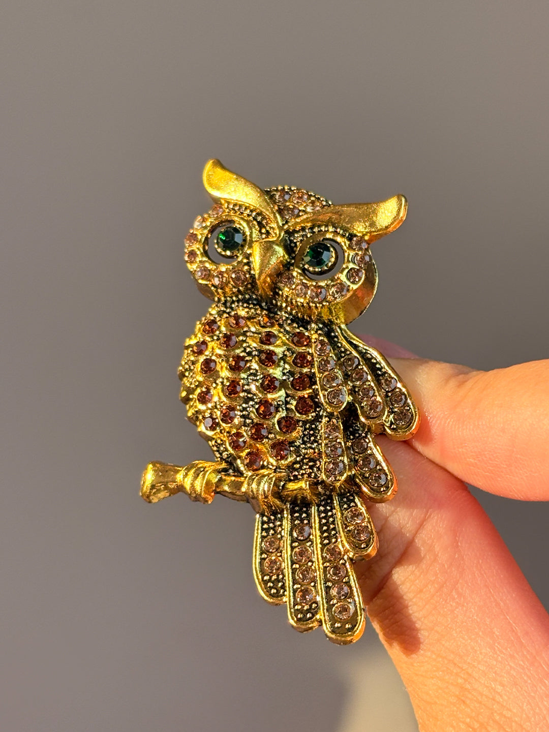 Bronze Owl