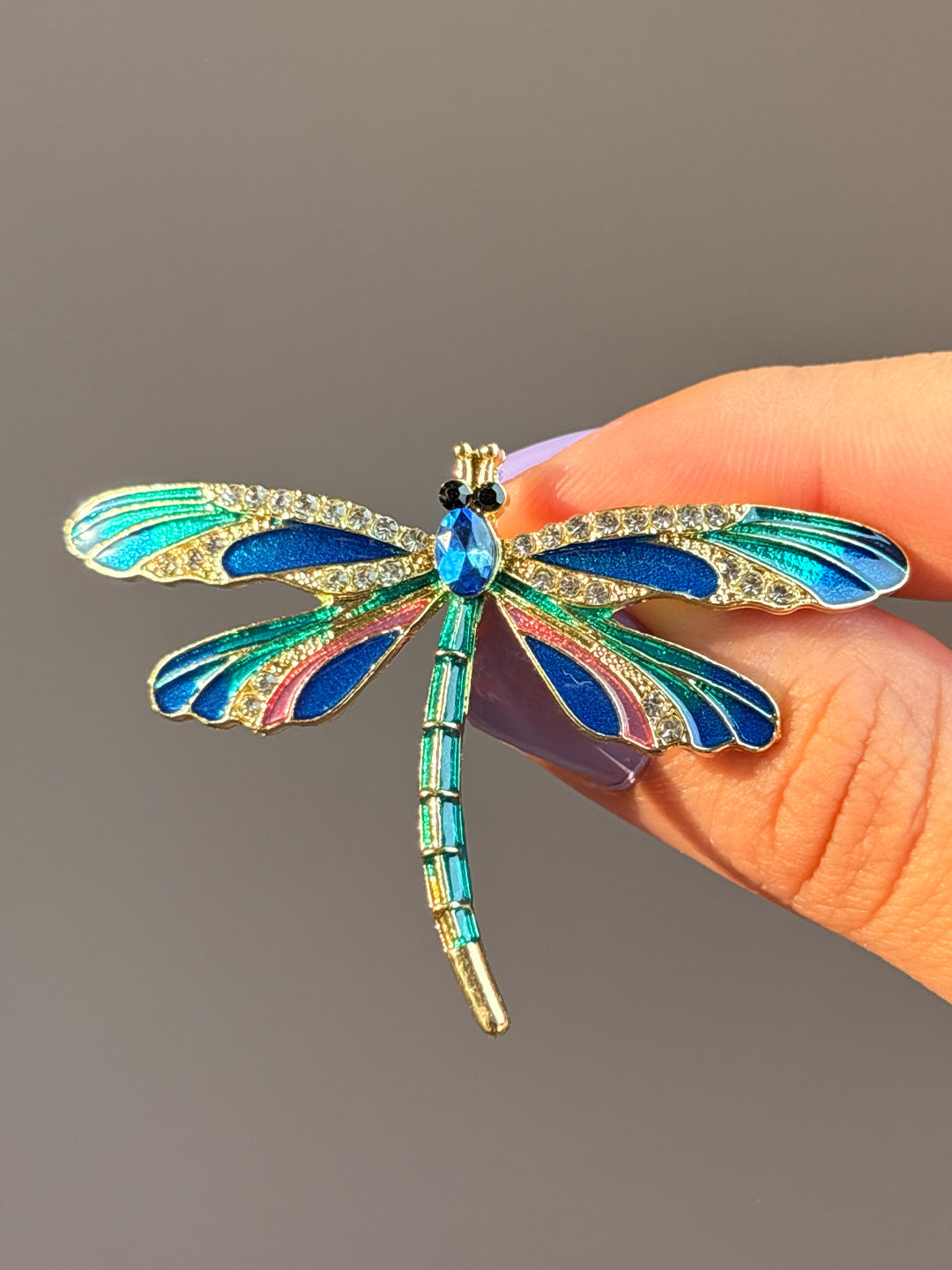 Peacock Dragonfly