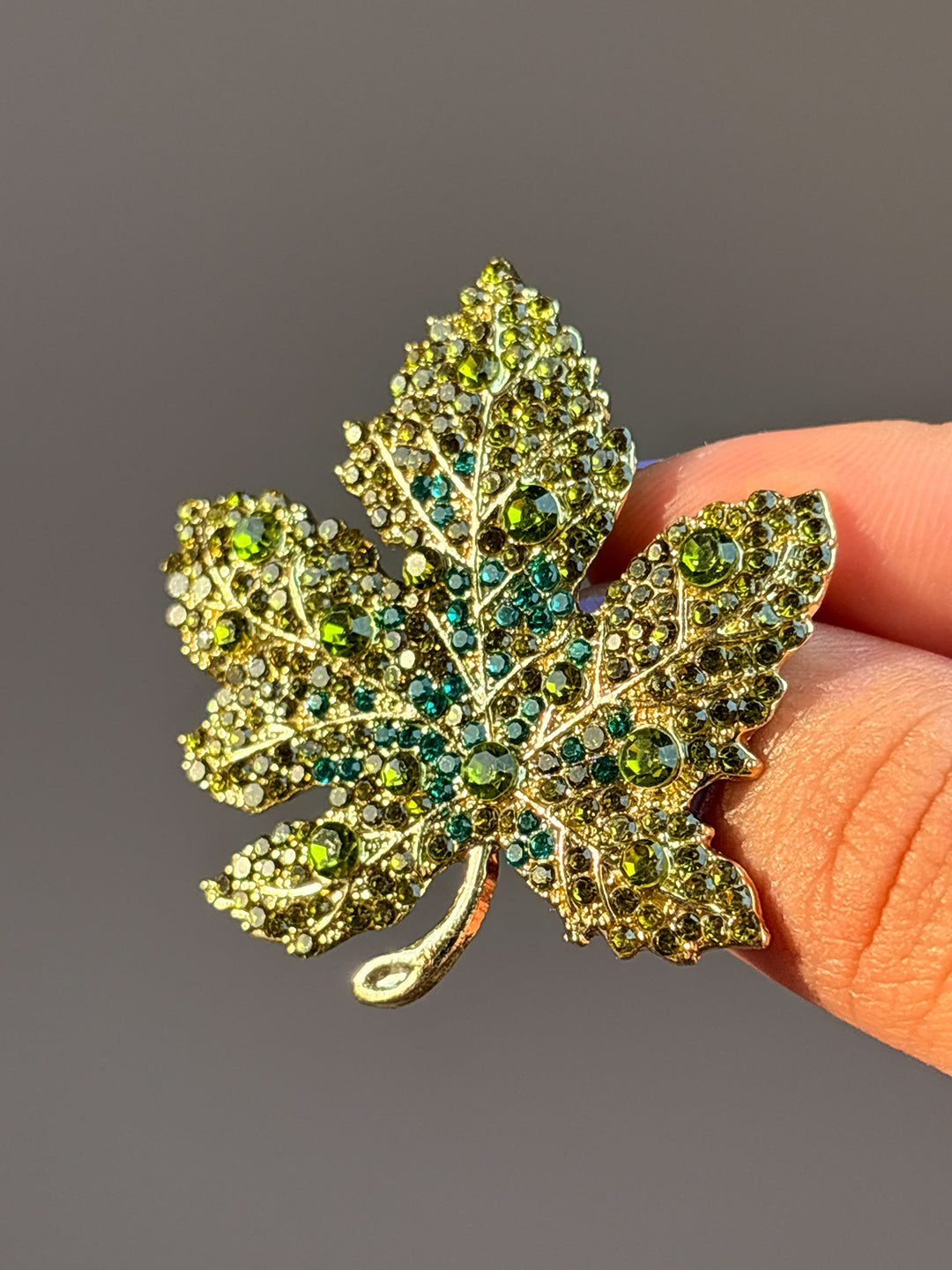 Olive Maple