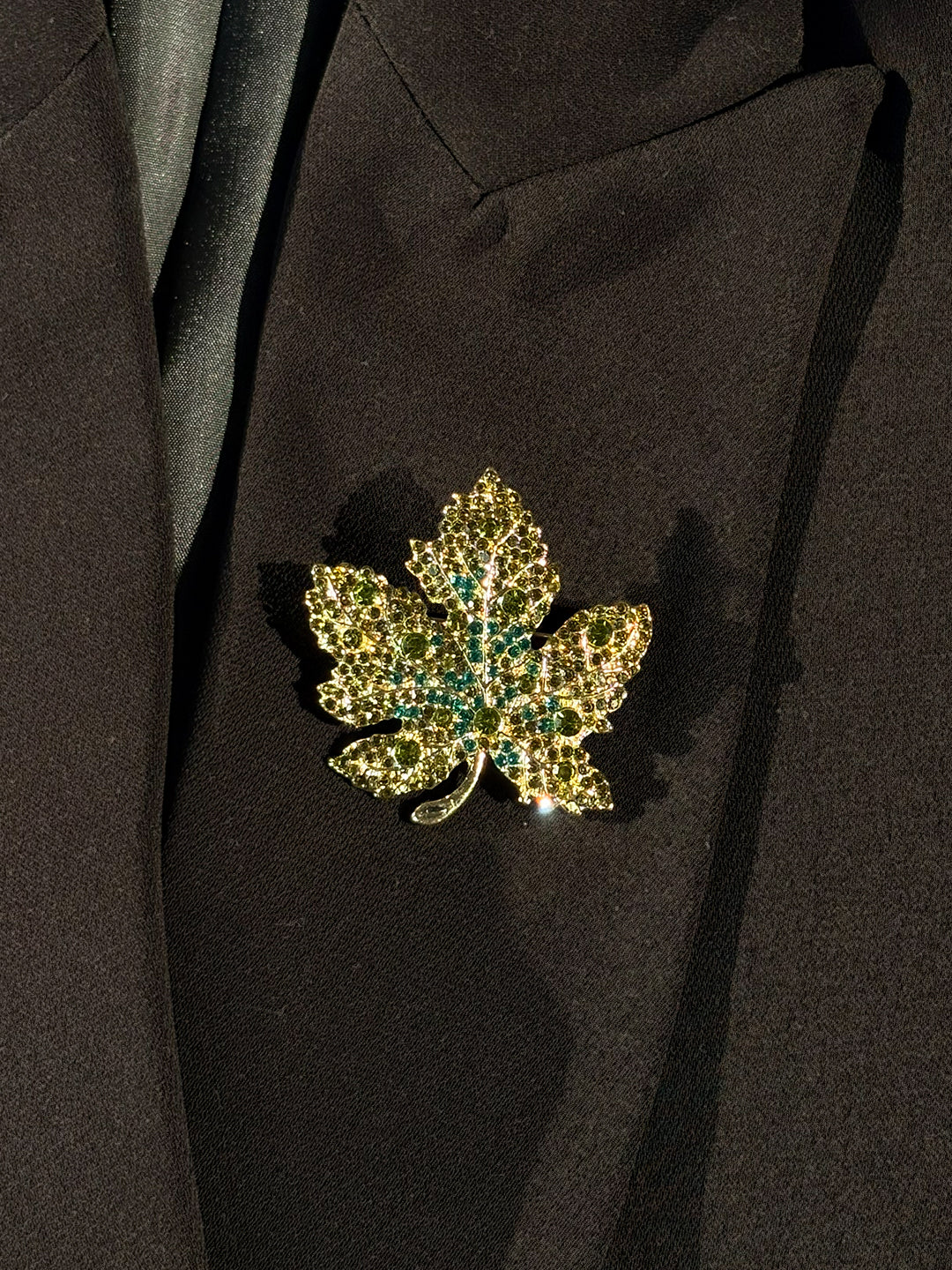 Olive Maple
