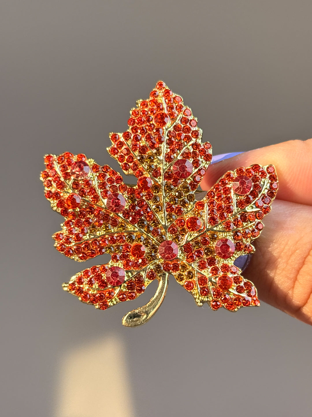 Ruby Maple
