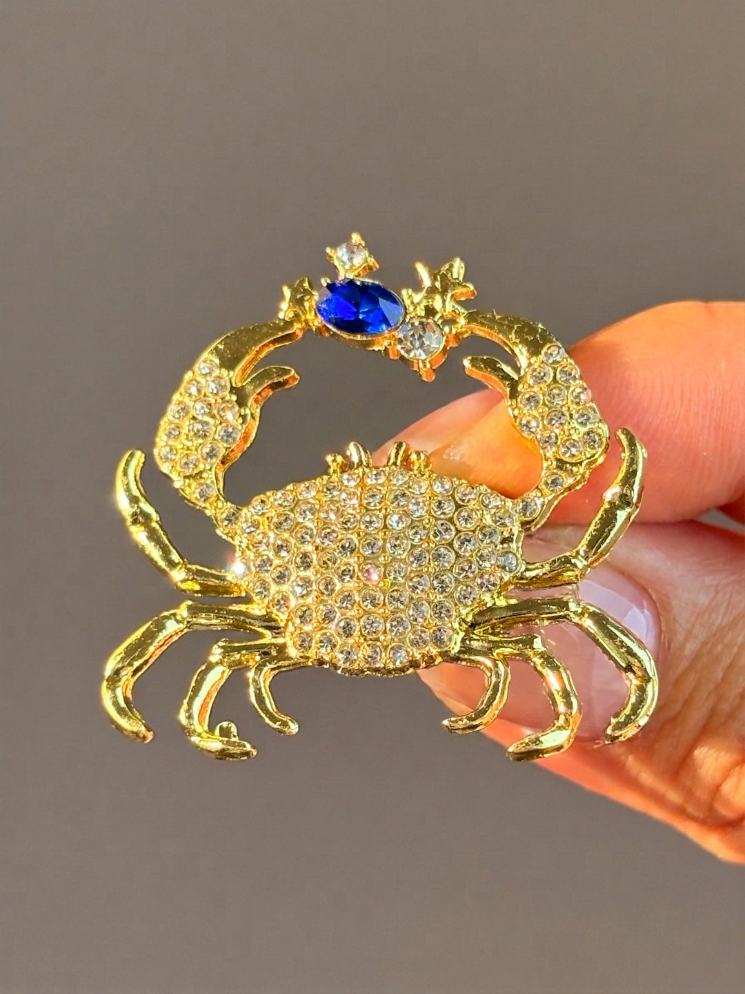 Seaside Crab