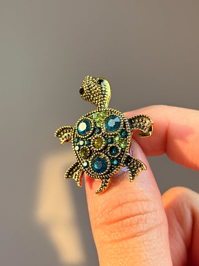 Turquoise Tortoise